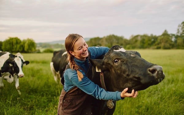 Mickey Aylard with one of her dairy cows