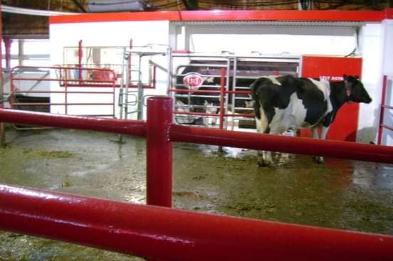 Grant's Brook Farms' Lely Astronaut A3 robotic milking system