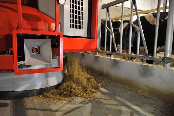 Lely Vector automatic feeding system in action feeding dairy cows.