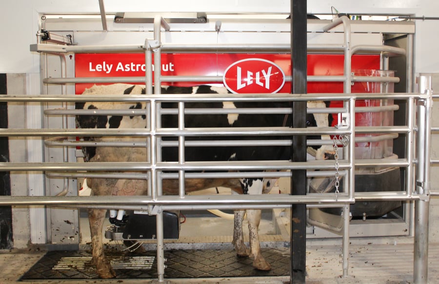 Lely Astronaut A5 robotic milking system