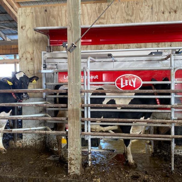 Lely Astronaut A5 robotic milking system 