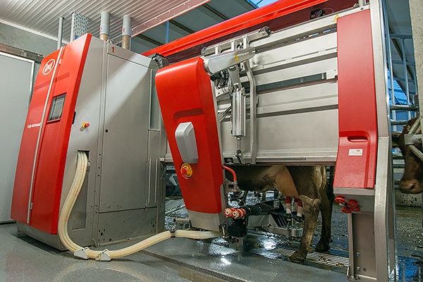 Lely Astronaut A5 milking robot