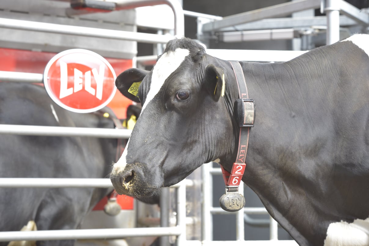 Astronaut_A4_Cow_Collar_2014
