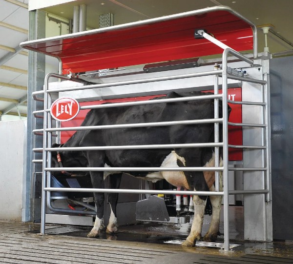 Dairy cow using Lely Astronaut A5 milking robot.Barnview4_600x541
