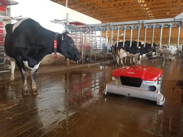 lely robotic milking services
