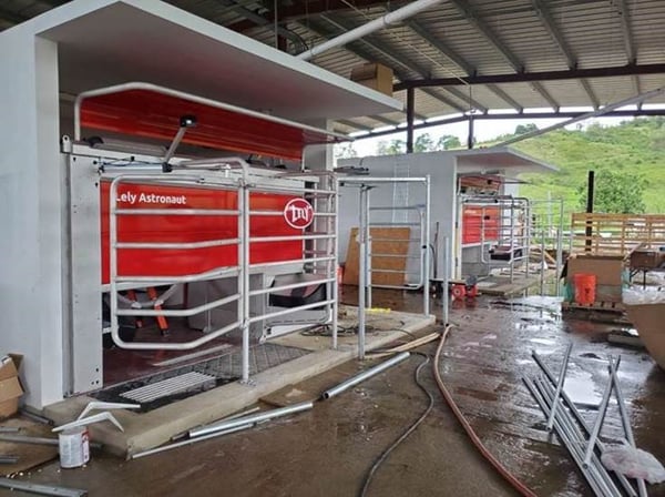 Puerto Rico - Lely Astronaut A5 robotic milking system 