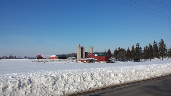 Wagholm Farms