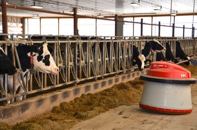 Lely Juno automatic feeder