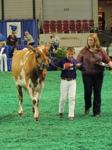 Dillon Freeman showing his Lely robot milked cow