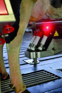 Lely Astronaut robotic milking system