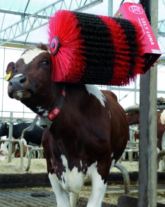 Lely Luna automatic cow brush