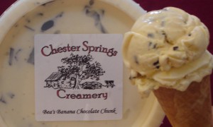 Chester Springs Creamery provides dairy education