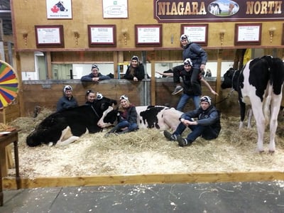 TD 4-H Dairy Classic participants pose with their heifers.