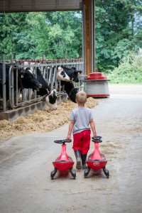 Sache family farm