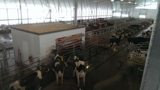 TimsFarm