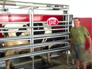 Farmer next to dairy cow using a Lely Astronaut milking robot.