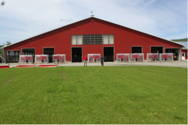 Dairy farm outfitted with Lely Astronaut milking robots.