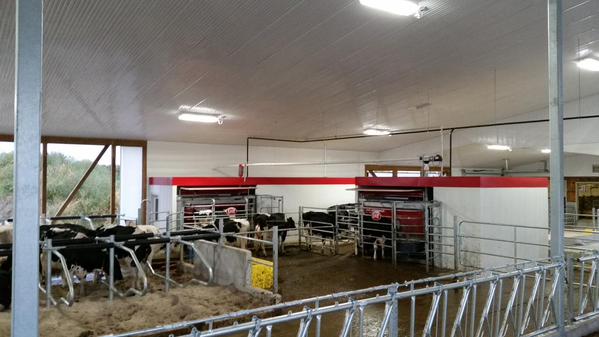 Lely robotic milking startup