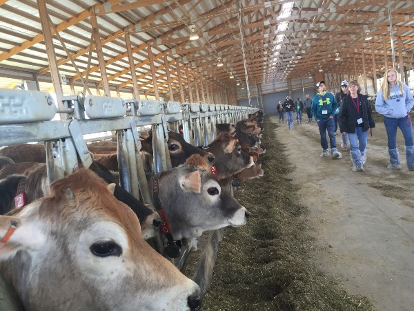 Journey2_600x450Lely Journey touring Midwest dairy operations