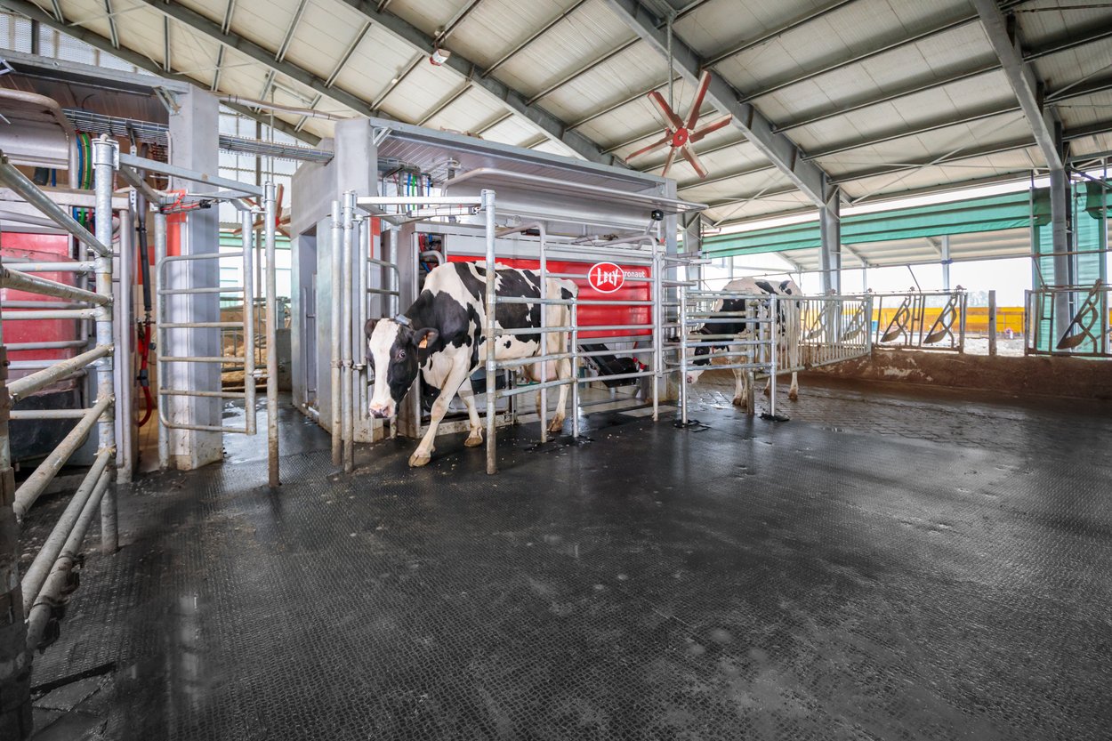 Lely A5 Next robotic milking system