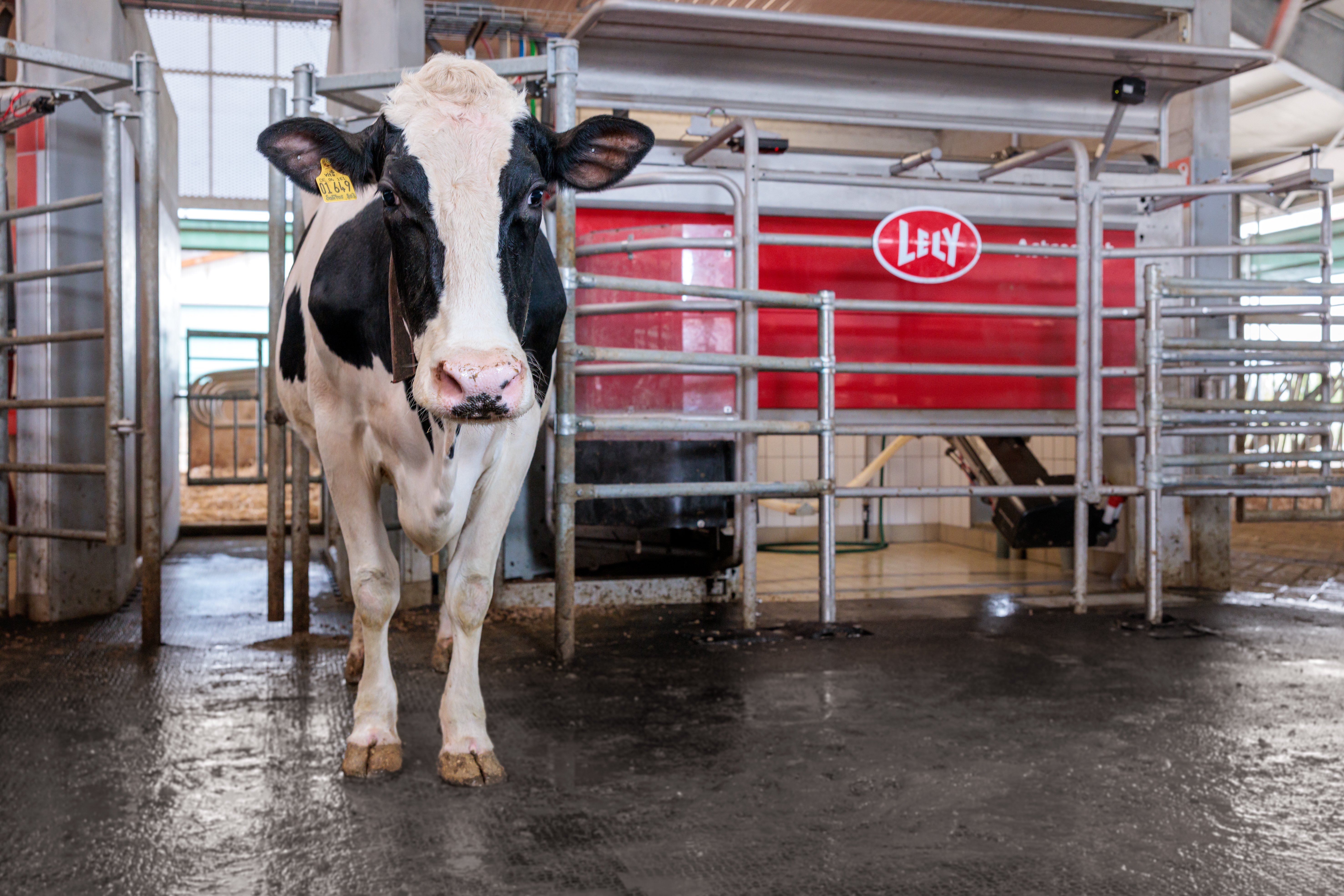 Lely IT A5 next II (133)0261 1