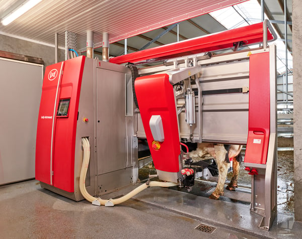 Lely Astronaut A5 robotic milking system 