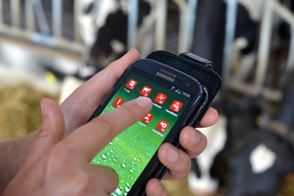 Dairy producer using the Lely T4C management system on a mobile device for information on his dairy farm. 
