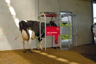 Use the Lely Grazeway to help monitor your cows and assist them in the transition to pasture. Use the Lely Grazeway to help monitor your cows and assist them in the transition to pasture.