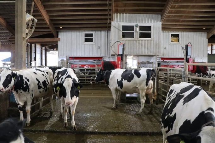 Westvale-View Dairy and its Lely robots