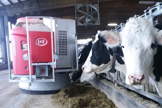 Malm's Rolling Acres dairy cows eating from a Lely Vector automatic feeding system