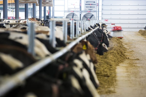 Lely Juno automatic feed pusher