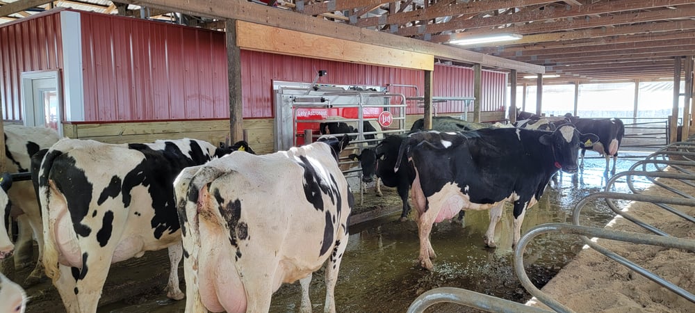 lely robotic milking services