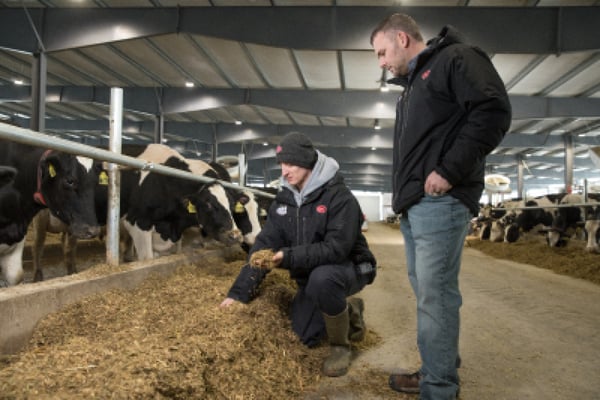 Lely Farm Management Support robotic milking startup