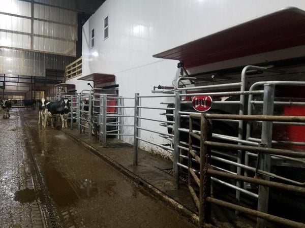 Three-in-a-row design for Lely Astronaut robots