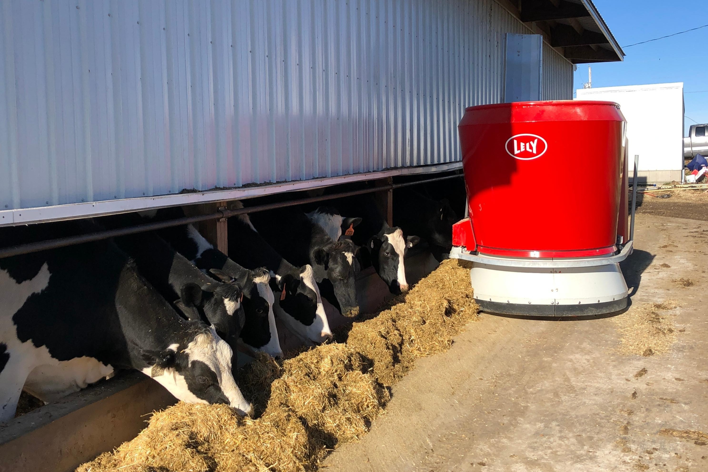 Lely Vector automatic feeding system at Honey Creek Dairy 