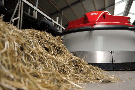 Dairy cow eating from Lely Juno automatic feed pusher