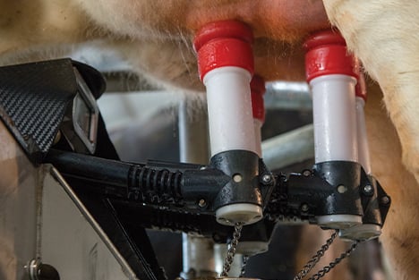Lely Astronaut A5 robotic milking system