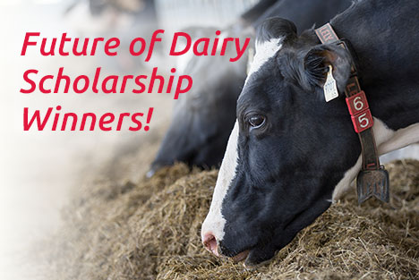 Lely Future of Dairy Scholarship winners 2020