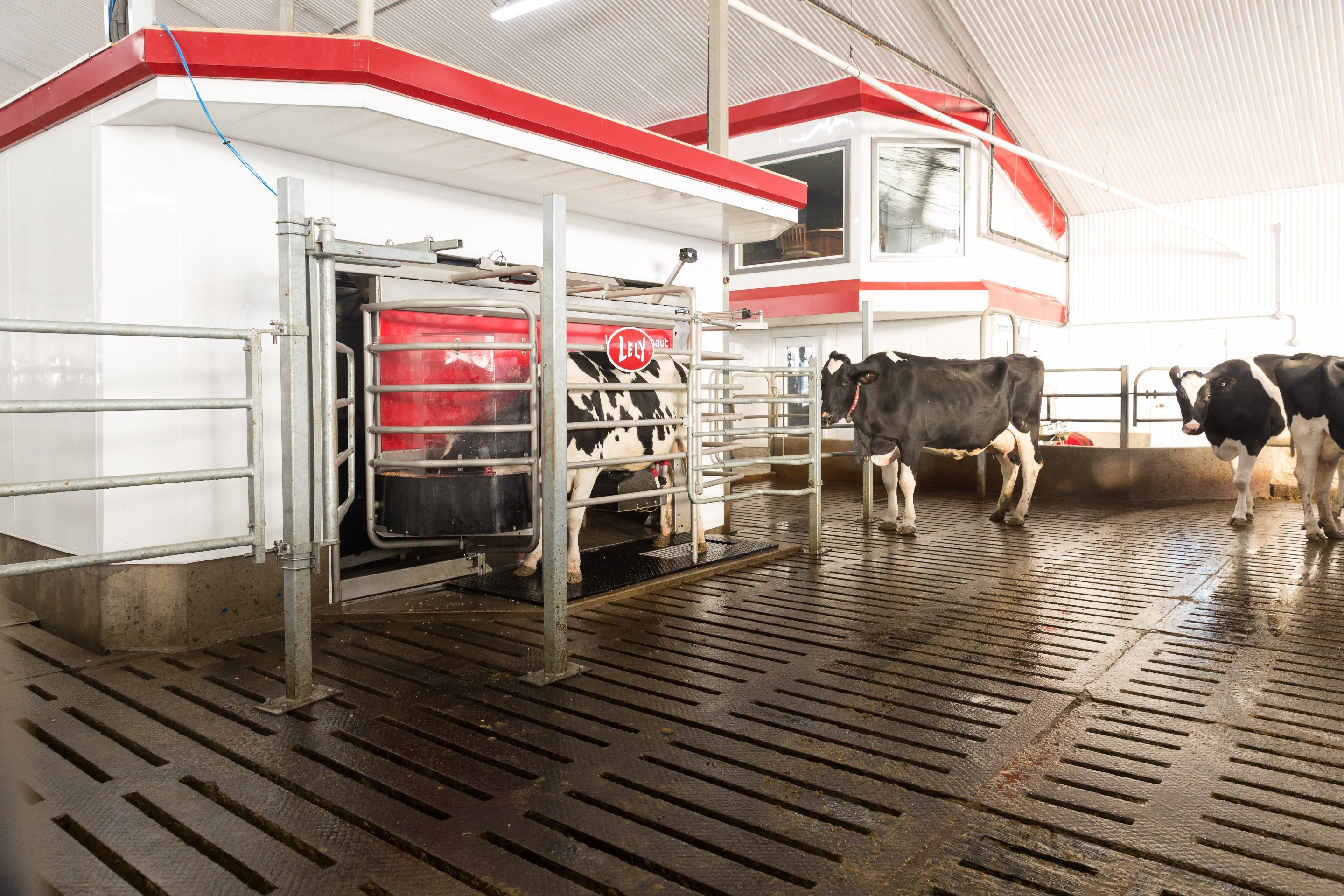 Lely Astronaut 5 robotic milking redesigned for cow-comfort.