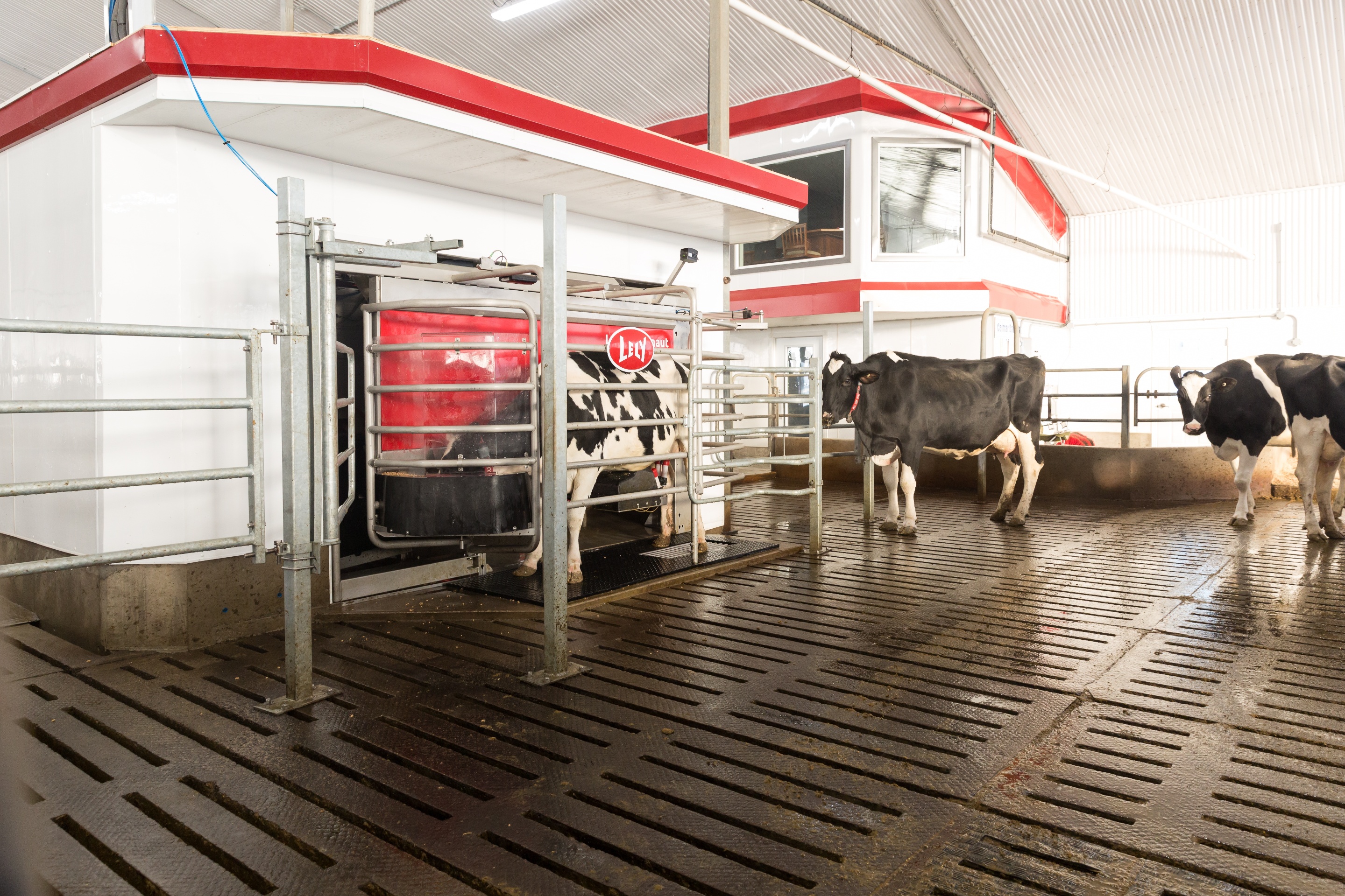 Lely North America Blog