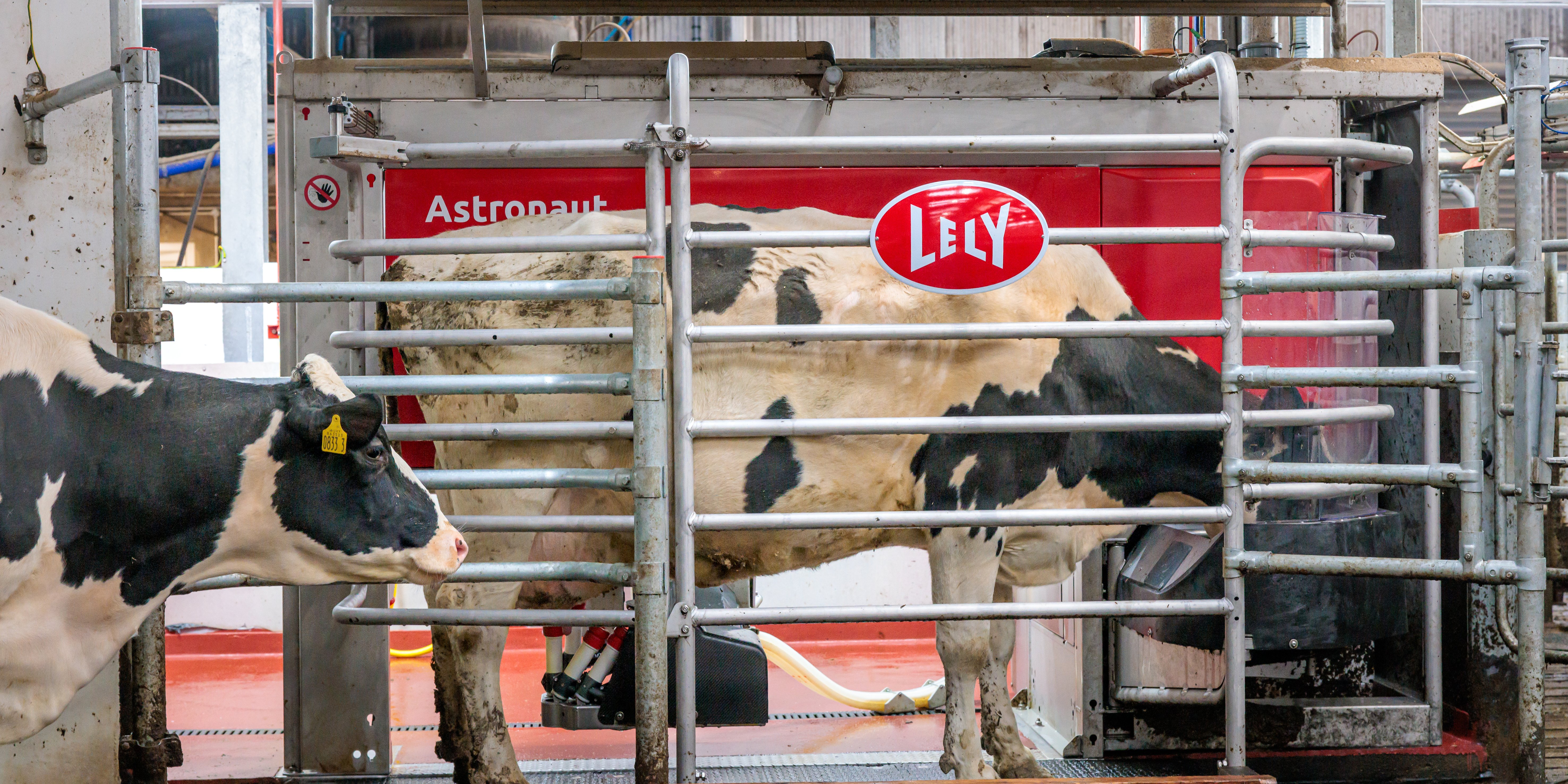 Why Feed Calibration Matters in Dairy Robots