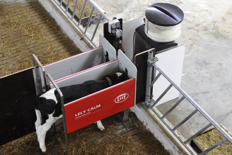 Lely Calm automatic calf feeder
