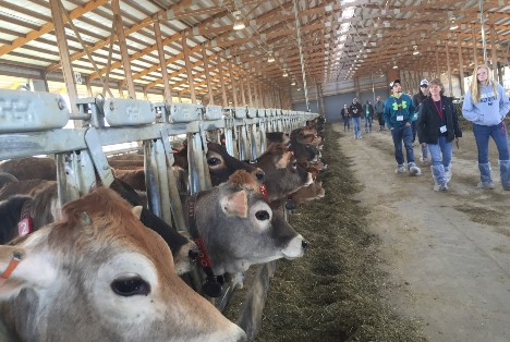 Lely Journey Touring Midwest dairy operations