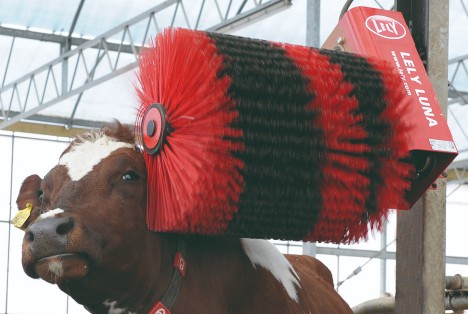 Lely Luna automatic cow brush