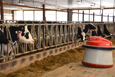 Lely Luna automatic feeder