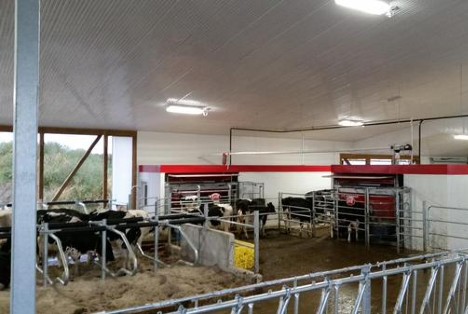 Lely start up barn