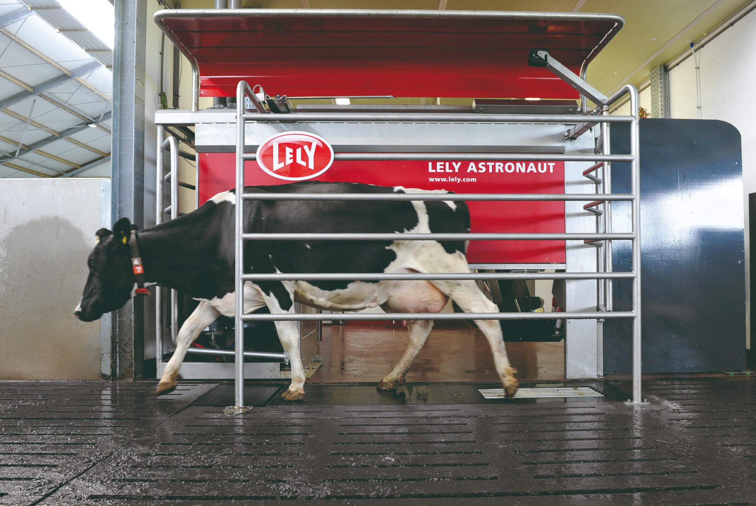 Lely used robotic milking system