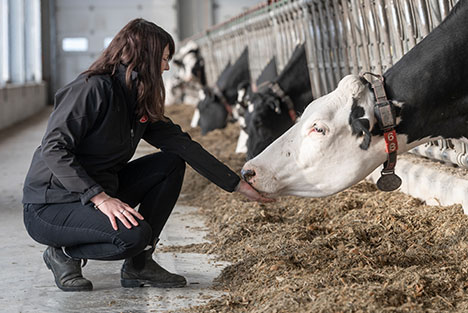 Lely Future of Dairy Scholarship