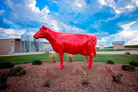 Lely Red Cow