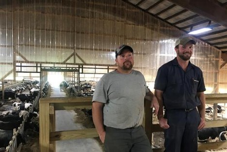 Stueber brothers in their robotic dairy barn.